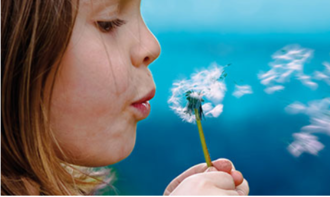 eCATALOGsolutions with CADENAS